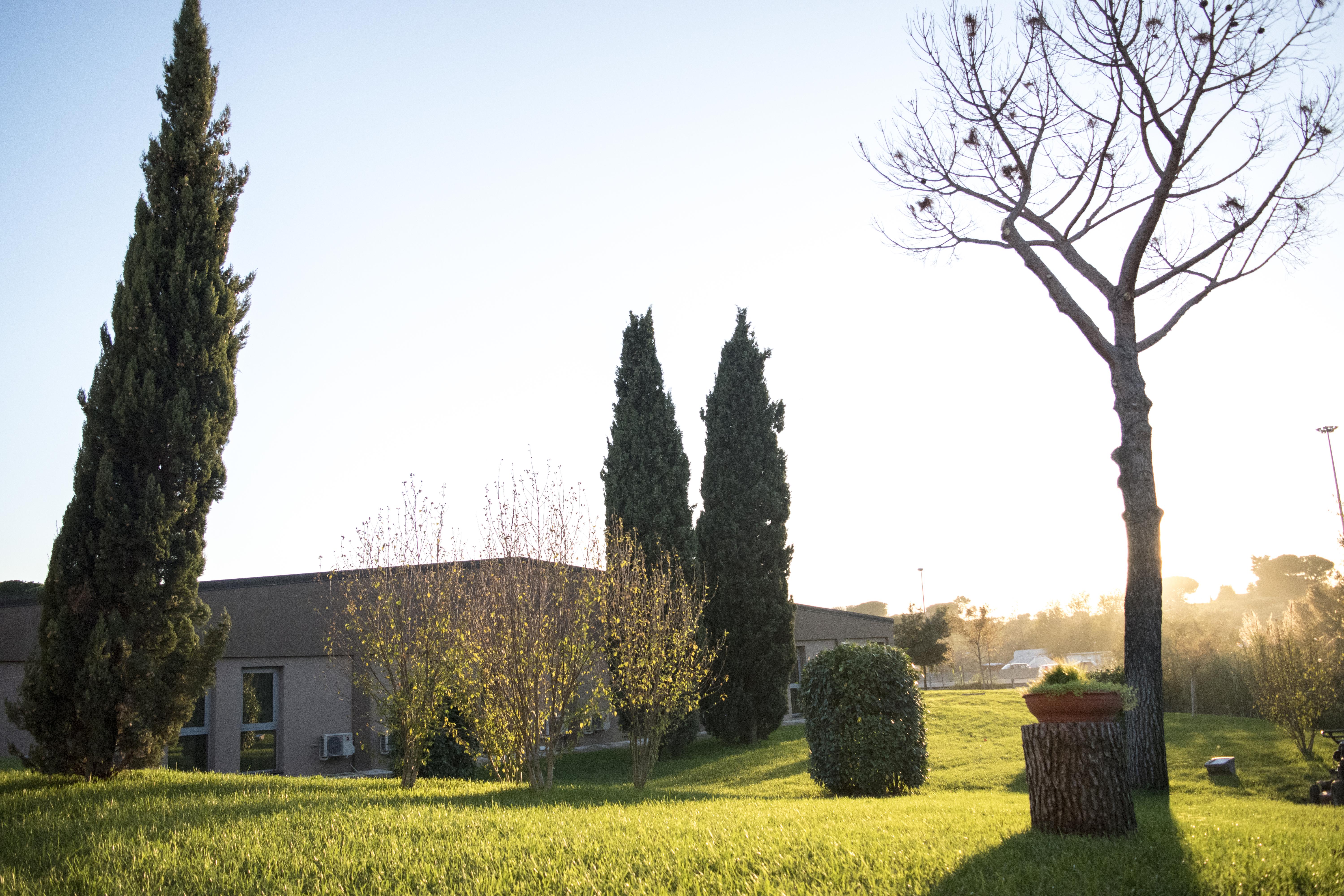 Hotel Roma Sud Frascati Exterior foto